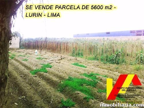 Terreno Rural en Lurín en Venta, 5600 m2