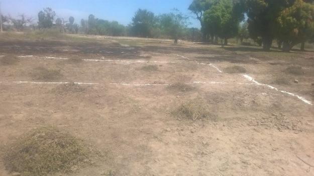 LOTES DESDE S/ 12.000