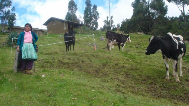 vendo terrenos