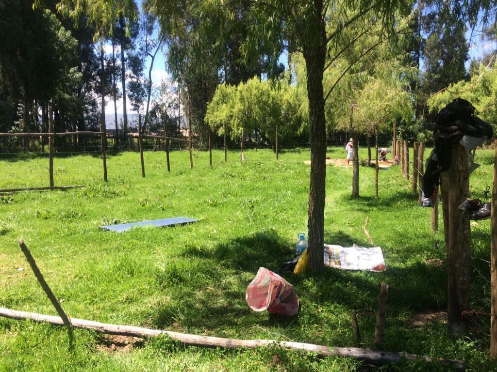 Remato lote de 300m2 por el triunfo espaldas del restaurant la campiña