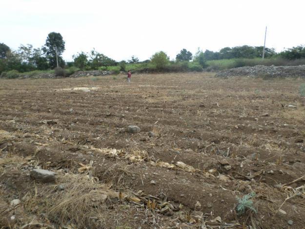 SE VENDE TERRENO CARRETERA A GALINDO LAREDO