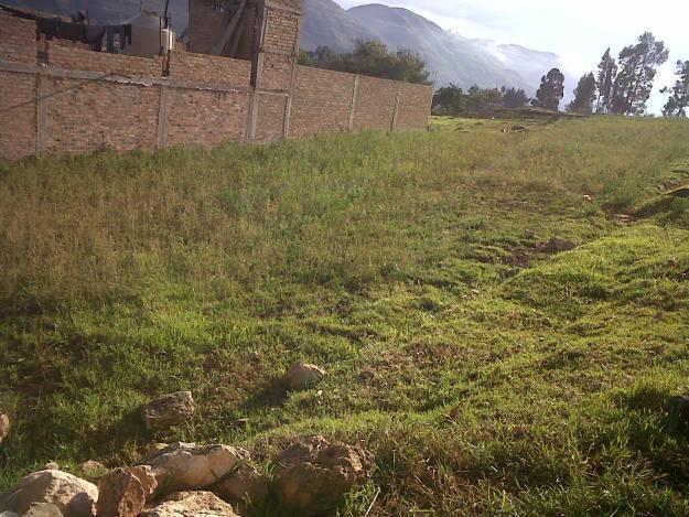 VENDO TERRENO EN CAMPO BUENA UBICACION