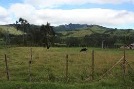 vendo terreno en uchuypampa