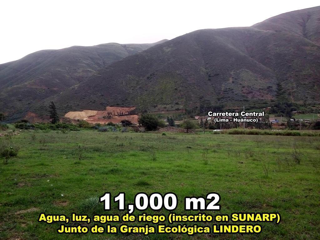 Terreno 100m2, 200m2, 500m2, 1000m2, 11,000m2 en tomayquichua al lado de la granja Ecológica Lindero