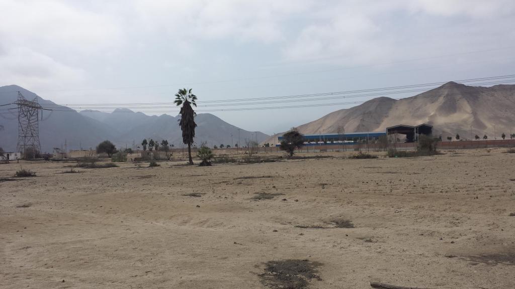 Terreno Industrial de 40,000 m2 en Chilca