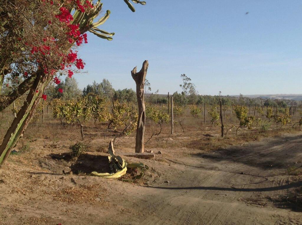 SE VENDE 32 HECTAREAS DE TERRENO OCUCAJE