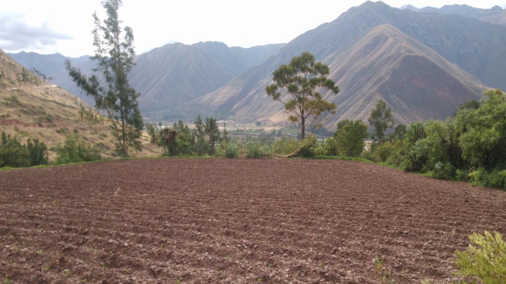 remato terreno en huayabamba