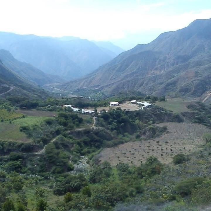 Terreno de Plantación de Mango