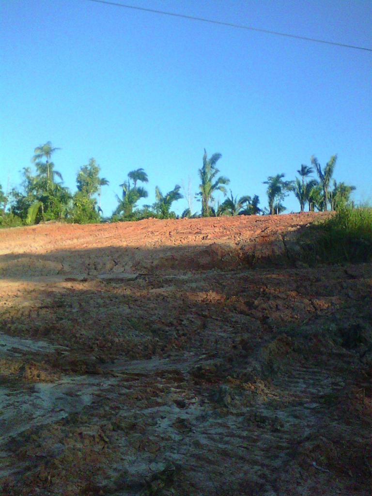 VENDO TERRENO EN PUCALLPA