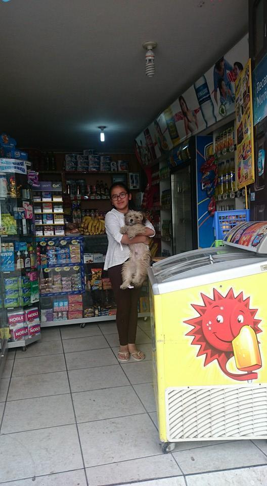 traspaso prospero pequeño minimarket