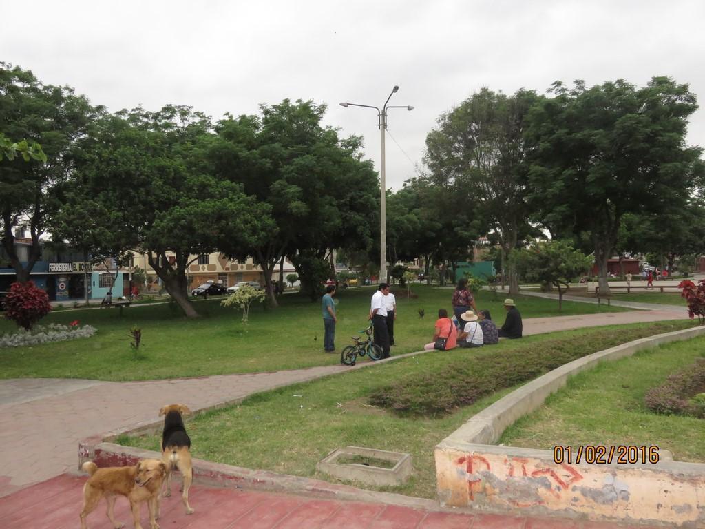 Terrenos en Venta, 200 m2 y 300 m2, Urb Santo Dominguito y Bosque, en Avenida Principal