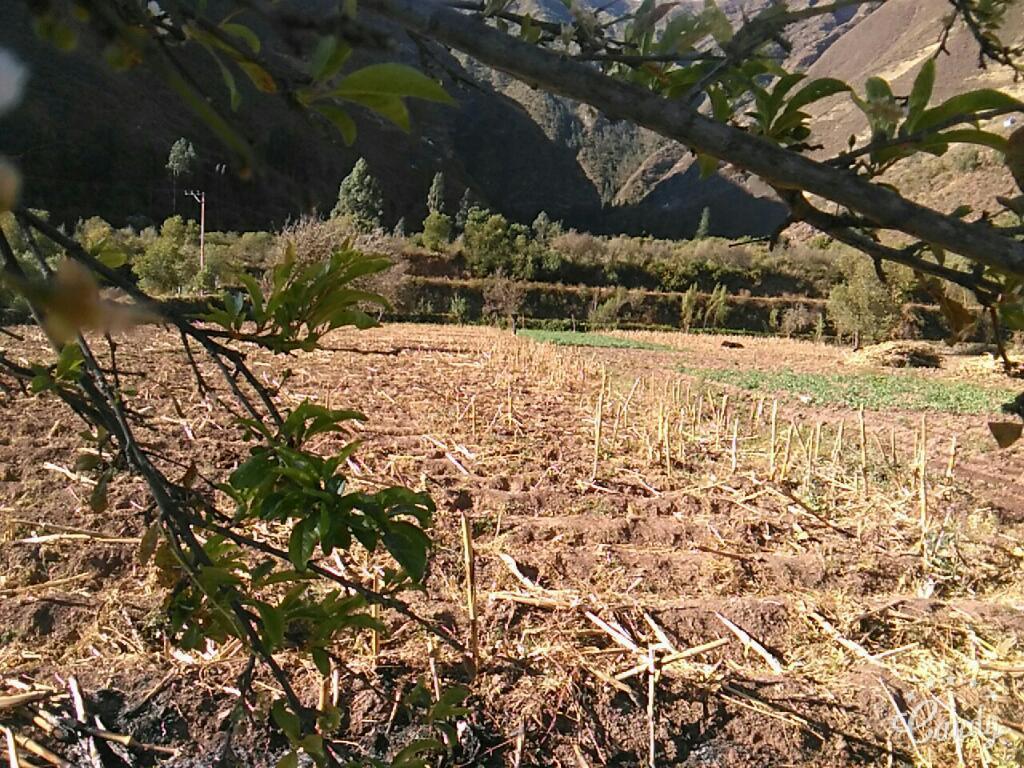 Vendo Terreno de cultivo