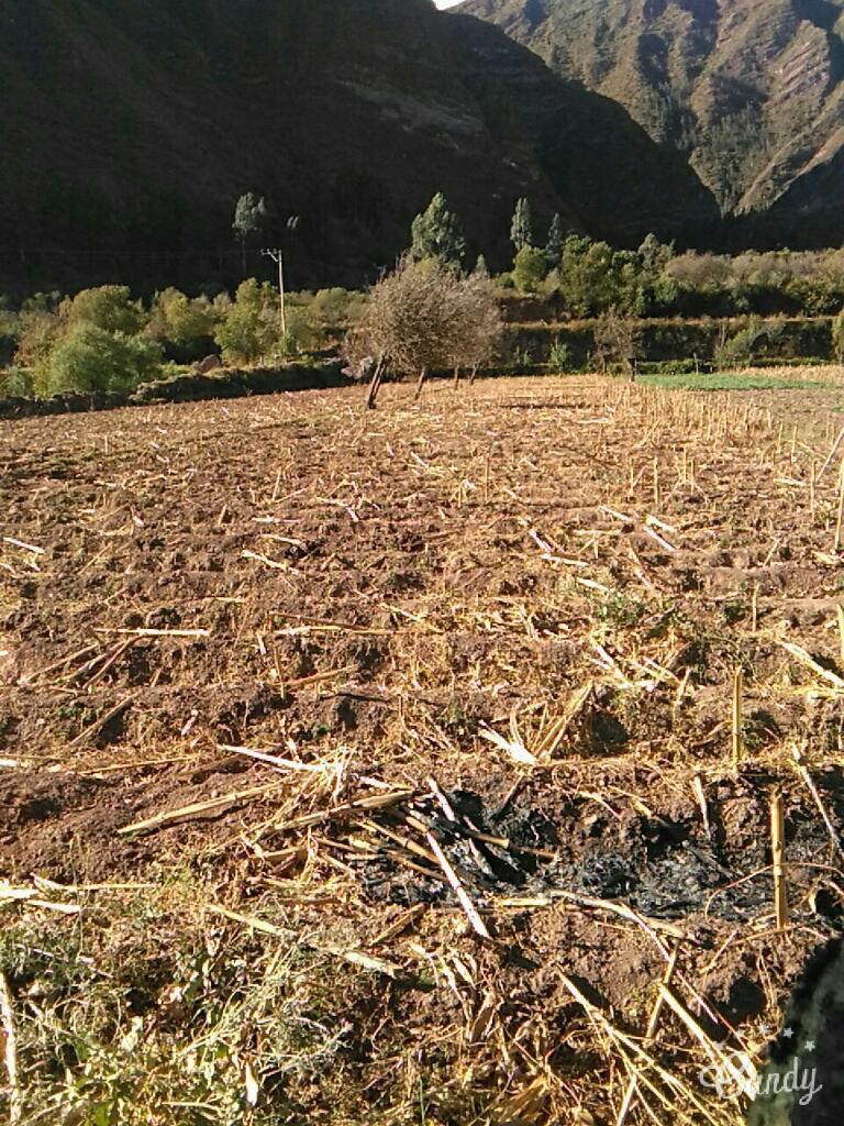 Vendo Terreno de cultivo