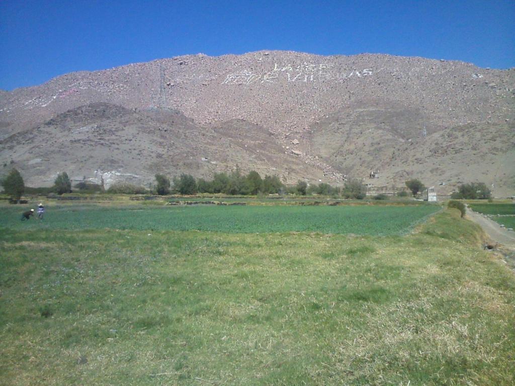 VENDO TERRENO AGRÍCOLA,  Huasacache, 16300m2