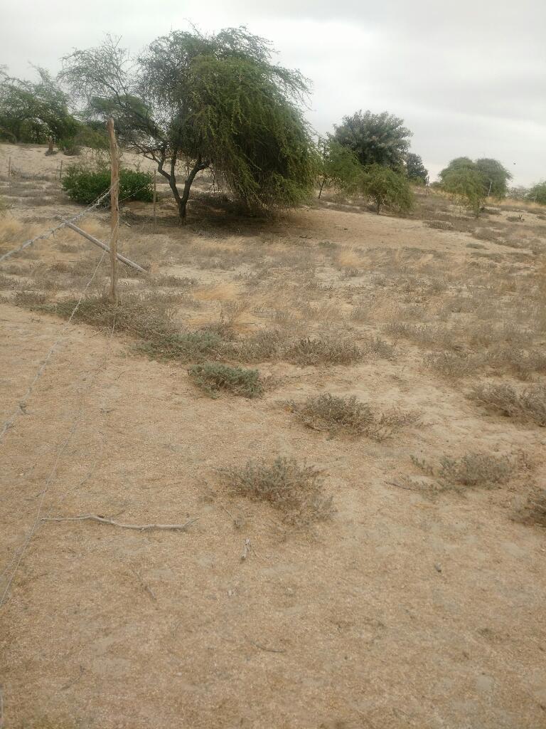 Terreno caserio mariposa 1100 metros