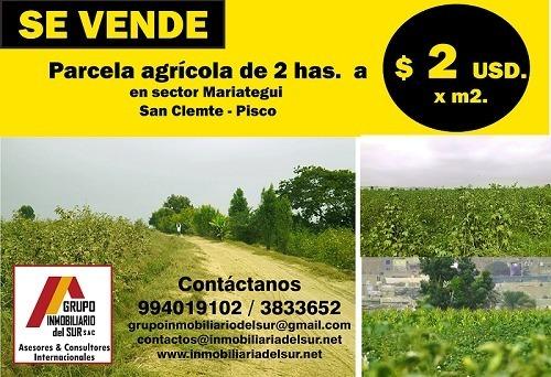 Se vende parcela agrícola de 2 has. a $ 2 x m2. en sector Mariategui San Clemnte