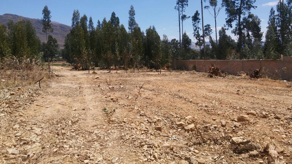 Vendo lote de terreno pasando el penal carretera a la colpa