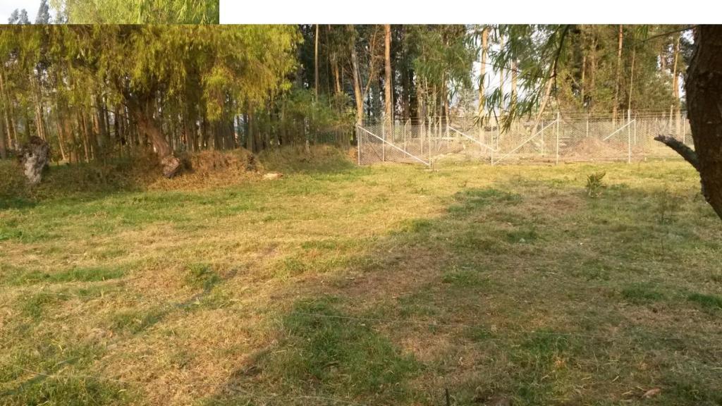 VENDO TERRENO CERCA AL AEROPUERTO EL TRIUNFO