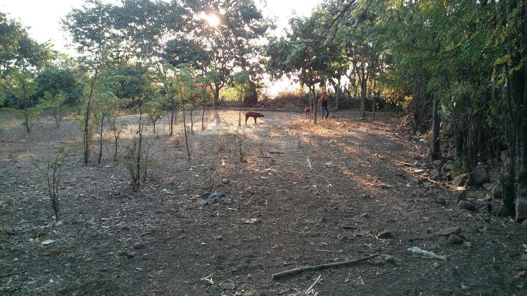 Vendo Terreno en Huanta Luricocha