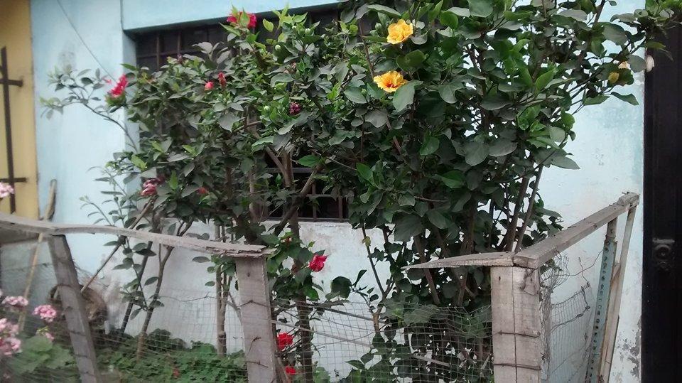 VENTA DE TERRENO EN ZARATEAPTO CONTRUCCION DE HOTEL