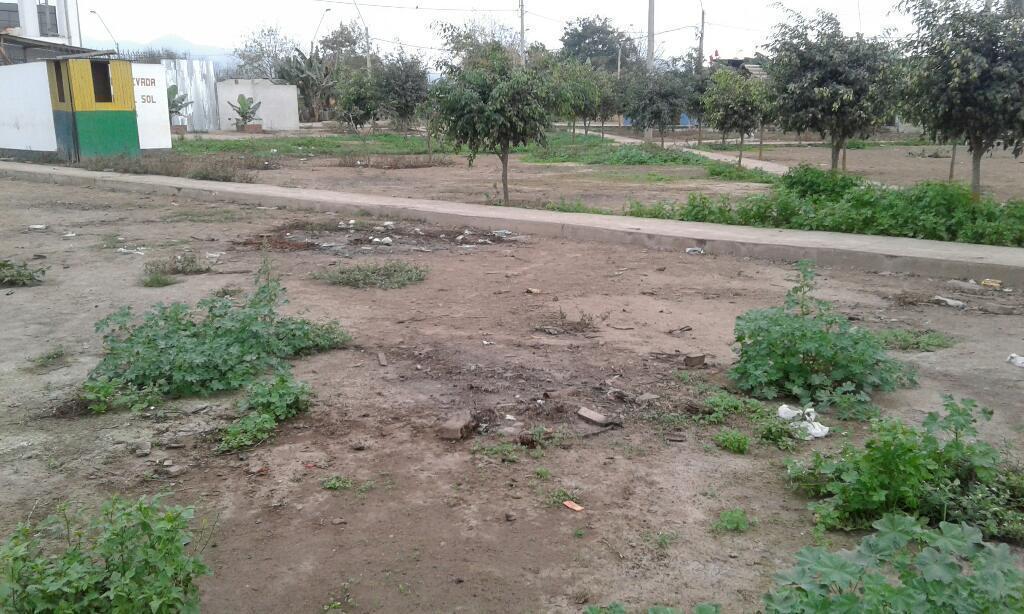 X Ocacion Se Remata Terreno en Pachacamac Lurin