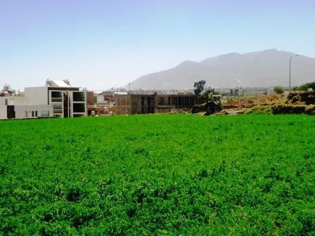 AHS TR 1272 Vendo terreno agricola cercado de 4,100 mts2 detrás de Quinta Samay Cayma