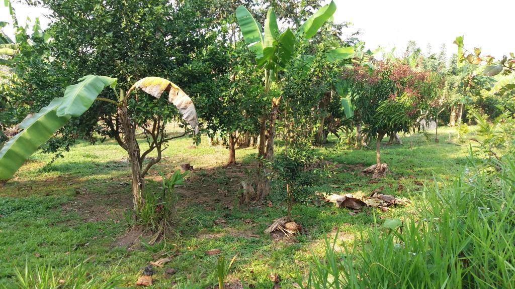 Se vende terreno a una cuadra del corredor turístico Isuyama