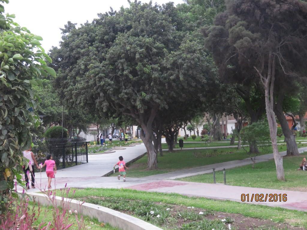 Terrenos en Venta, 250 m2 y 300 m2, Urb Santo Dominguito y Bosque, en Avenida Principal