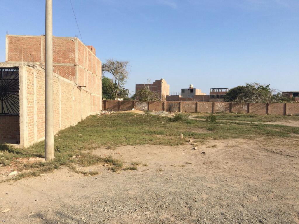 OCASION VENDO 2 LOTES DE 100 MT2