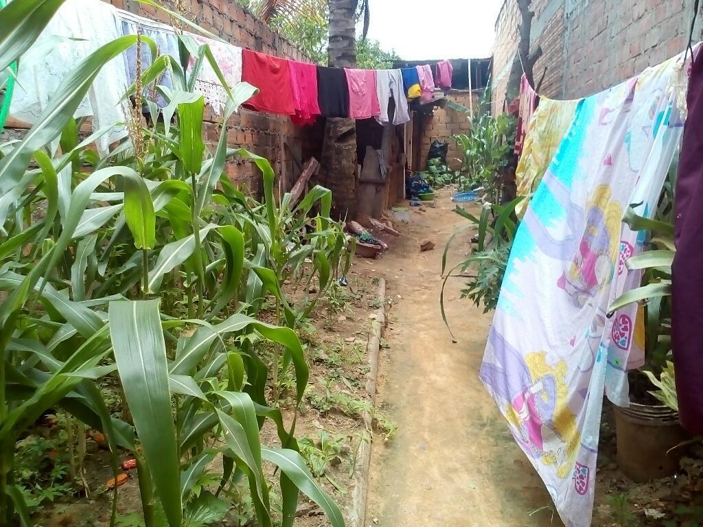 Una Casa Bueno para Negocio Ubicado en El Distrito de Sauce en en Centró de La Cuidad