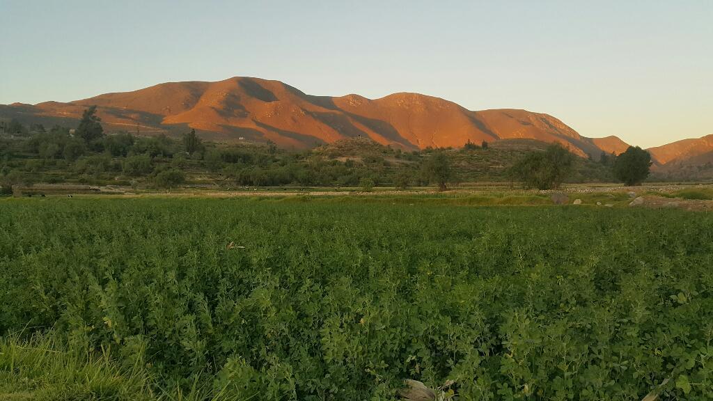 Remato Terrenos para Casa Campo en Valle Quequeña