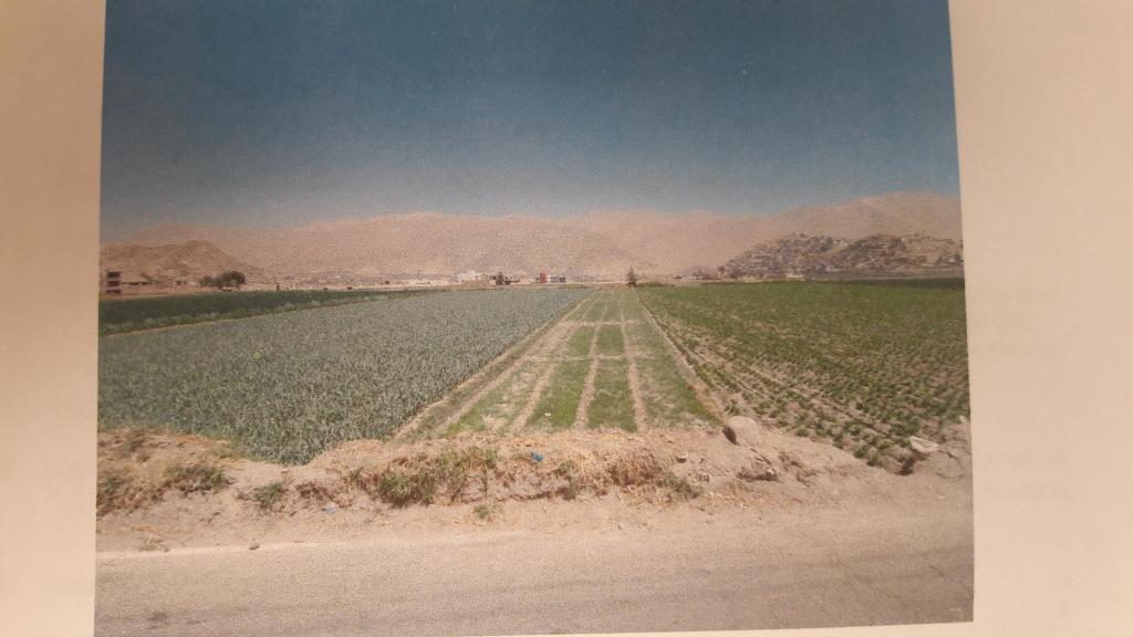 VENDO TERRENO EN SACHACA