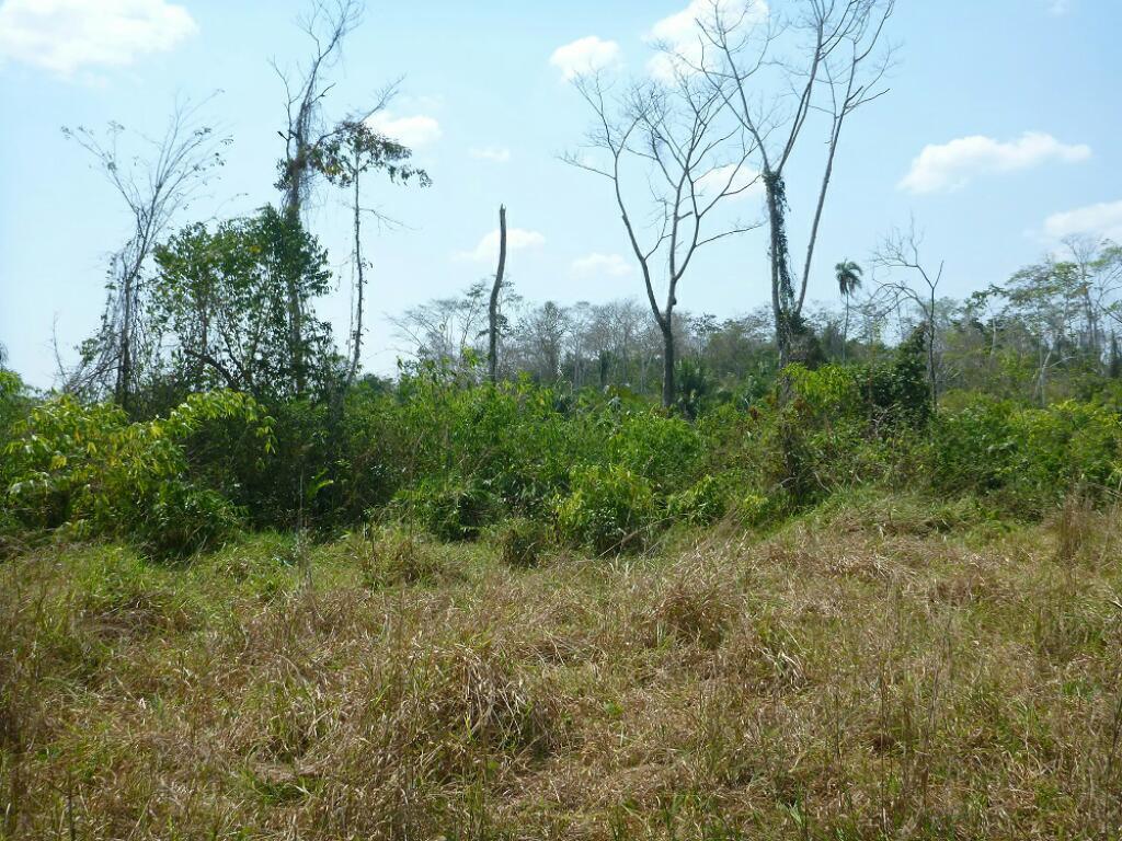 Terreno 40ha Carretera Interoceánica Puerto Maldonado Brasil