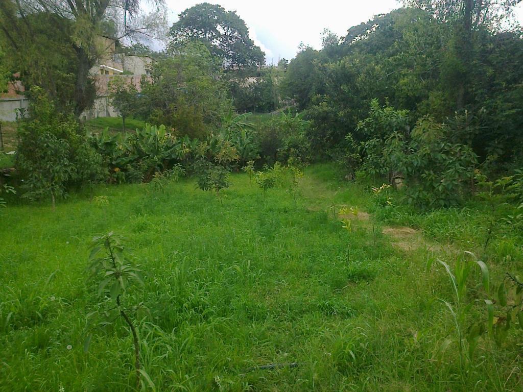 BONITO TERRENO DE 800 m2 O EN LOTES DE 150 m2, 130 m2 y 120 m2 DENTRO DE CIUDAD, AREA CAMPESTRE. SE VENDE EN SAN MARCOS