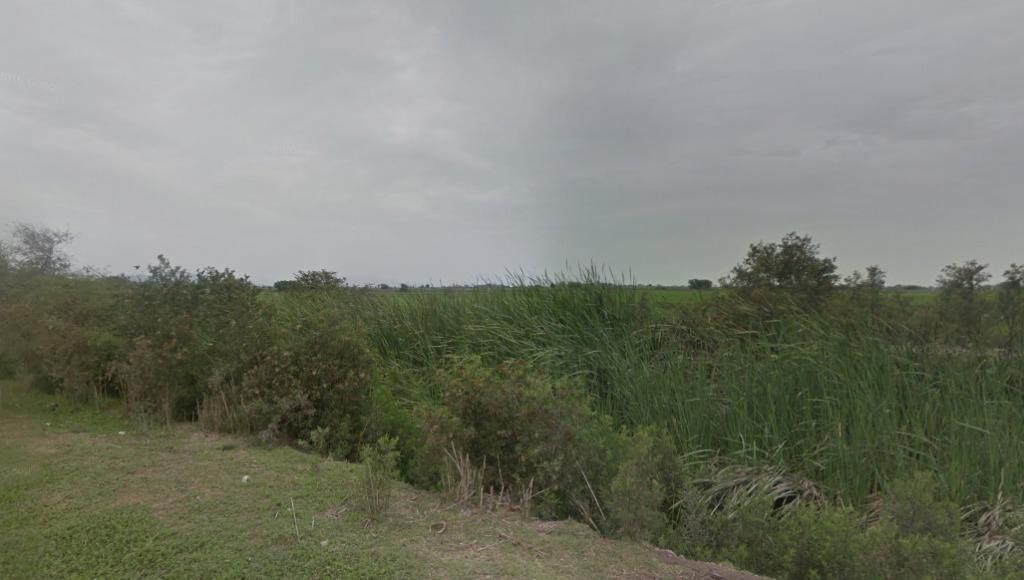 Terreno agrícola de 28 Ha. en venta en Túcume