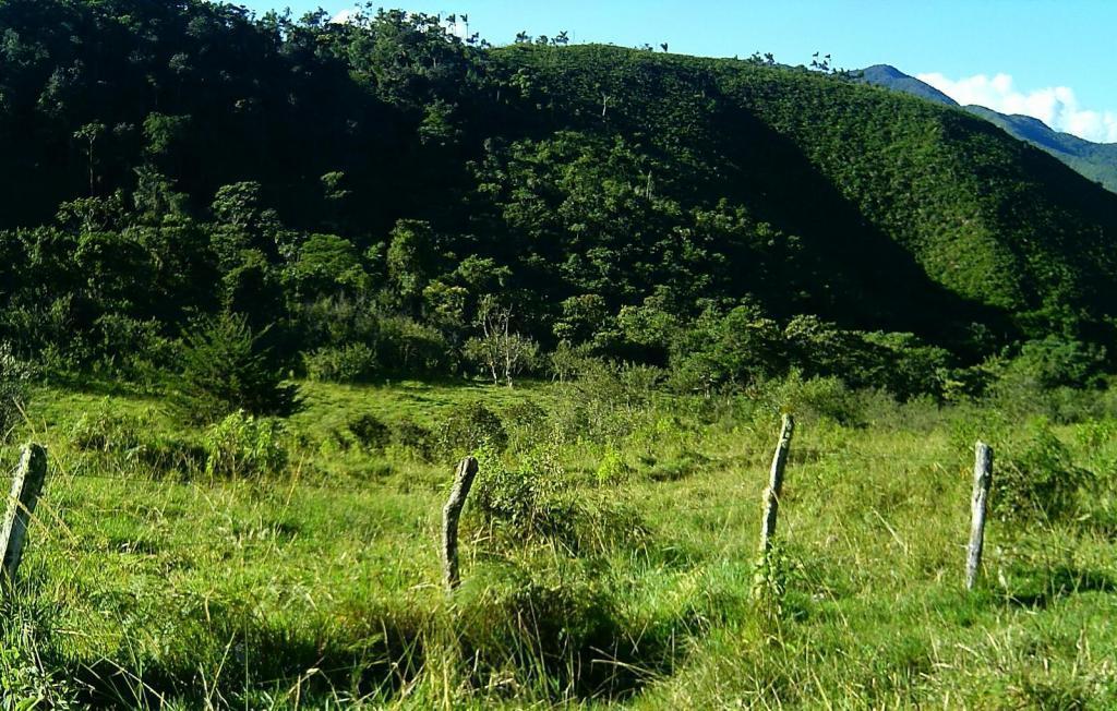 Ocasion vendo terreno en  Chontabamba