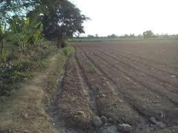 3900 m2 laredo campiña la merced