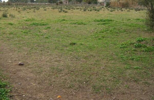 se vende una hectárea de terreno