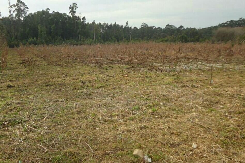 se vende una hectárea de terreno