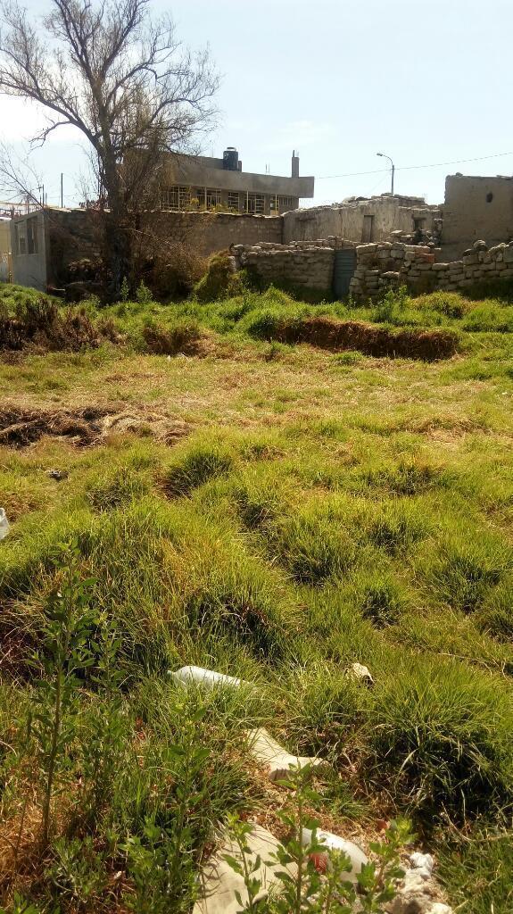 Terreno Arancota x Chicharronerias