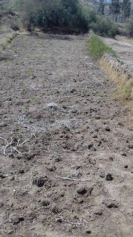 vendo terreno agricola plano en la ciudad de  cordillera negra marcac