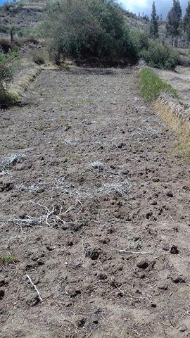 vendo terreno agricola plano en la ciudad de  cordillera negra marcac