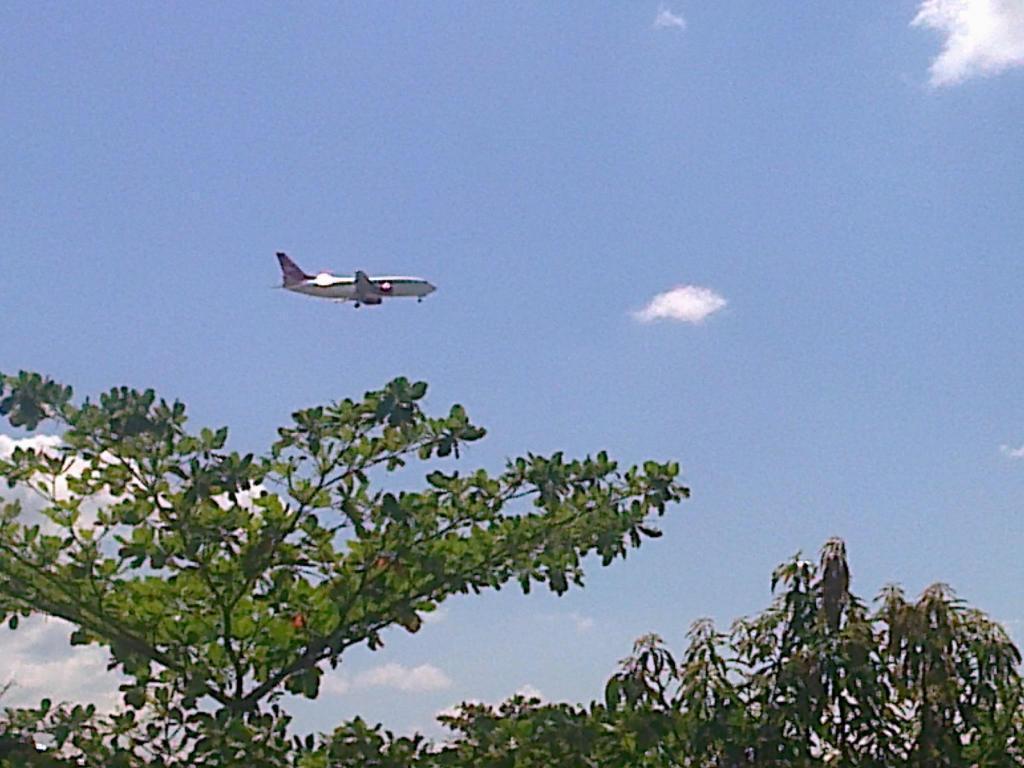 HOLA: Se Vende 04 LOTES juntos de 300 m2 c/u TOTAL 1200 m2 EN NITZUMA, MANANTAY, CERCA AL NUEVO MERCADO MAYORISTA