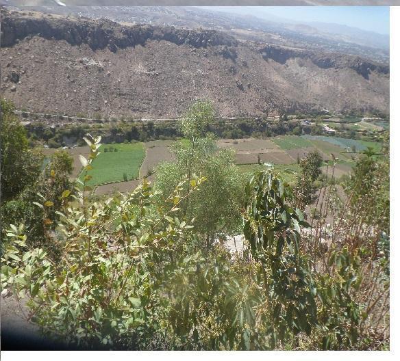 REMATO TERRENO CON MIRADOR AL VALLE DE CHILINA