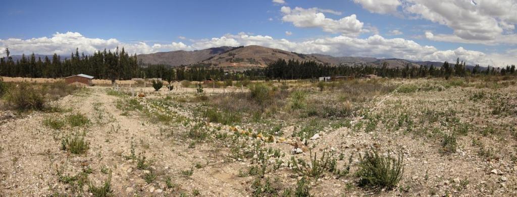 Terreno de 1,000 m² en esquina