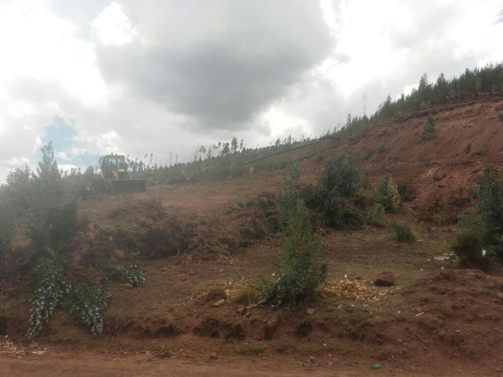 Vendo Lote Terreno en Oropesa