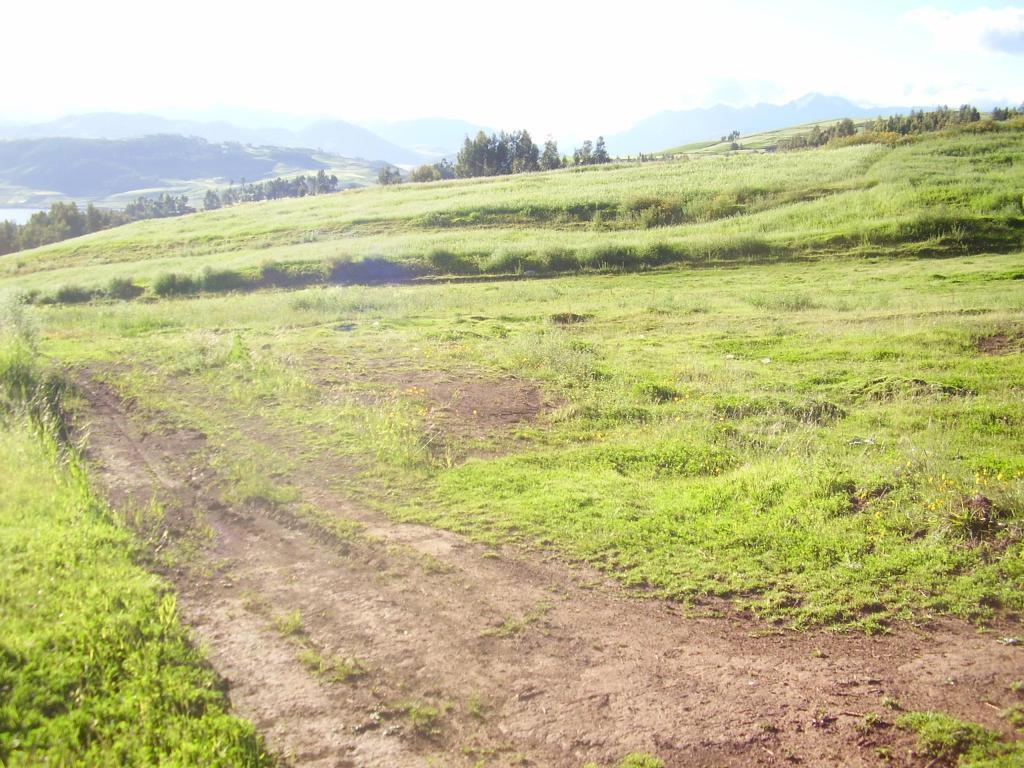 VENDO TERRENO DE 8000 M2 A PRECIO DE OCASIÓN $10 EL M2 , EN GUAYPO CHINCHERO