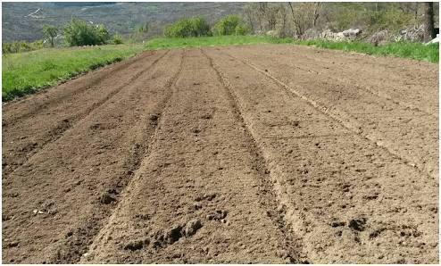 Vendo Terreno en Los Lunas en Pista