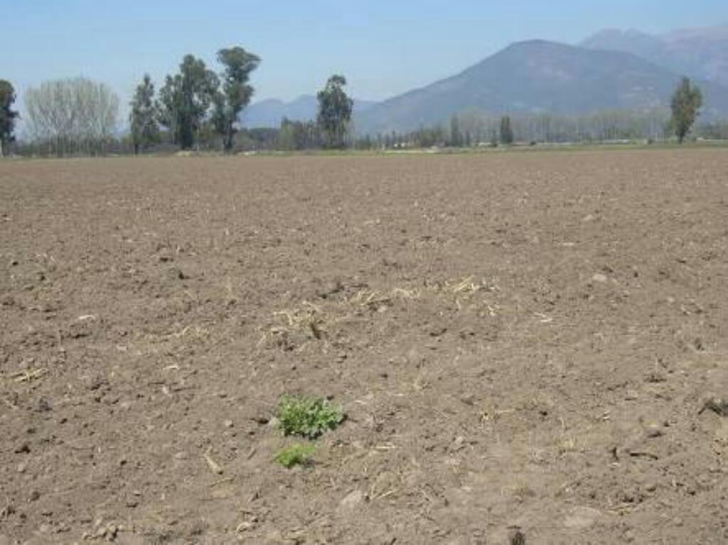 Vendo Terreno en Sachaca