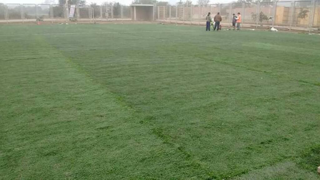 Traspaso Cancha de Gras Sintetico